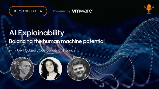 AI Explainability – Balancing Human-Machine Collaboration and Potential
