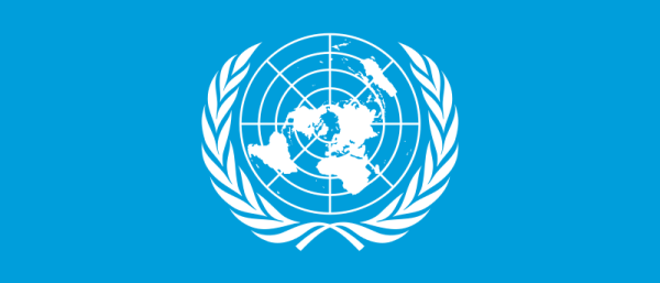 United Nations Case Study